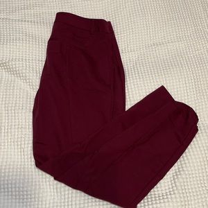 Express Dress Pants
